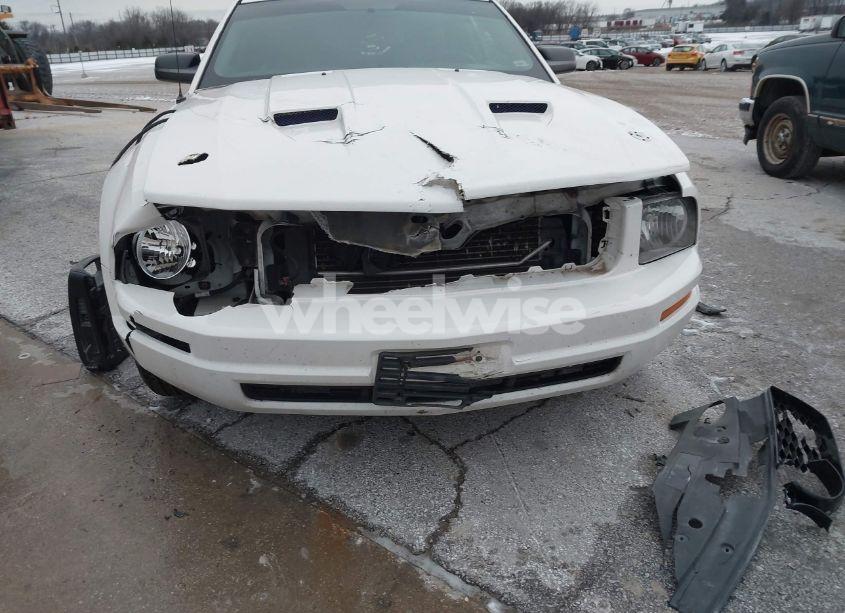 Photo 6 of 2007 Ford Mustang V6 DELUXE/V6 PREMIUM (VIN 1ZVFT80N275242987)
