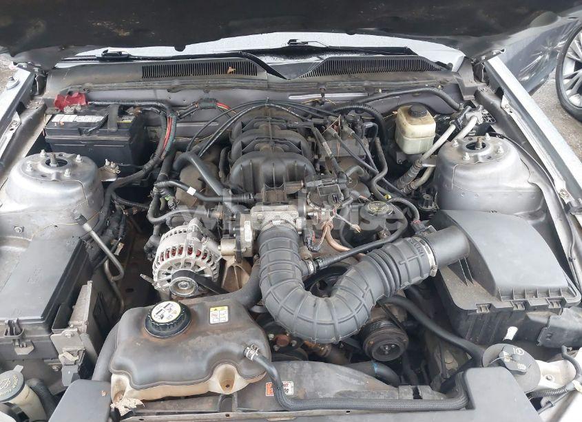 Photo 10 of 2007 Ford Mustang V6 DELUXE/V6 PREMIUM (VIN 1ZVFT80N275255383)