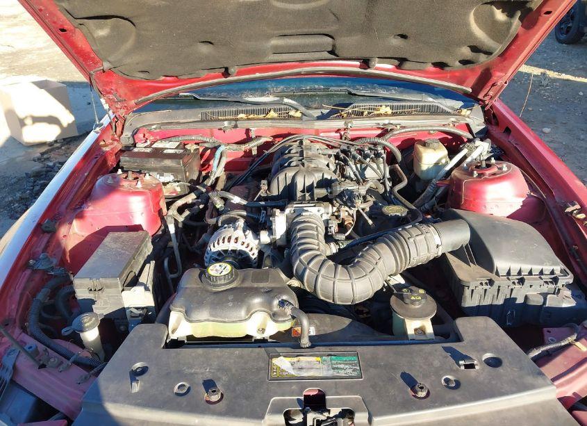 Photo 10 of 2007 Ford Mustang V6 DELUXE/V6 PREMIUM (VIN 1ZVFT80N275256193)