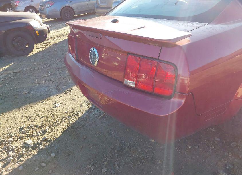 Photo 13 of 2007 Ford Mustang V6 DELUXE/V6 PREMIUM (VIN 1ZVFT80N275256193)
