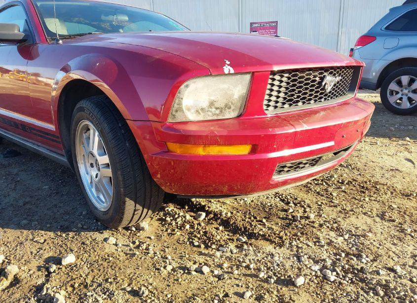 Photo 6 of 2007 Ford Mustang V6 DELUXE/V6 PREMIUM (VIN 1ZVFT80N275256193)