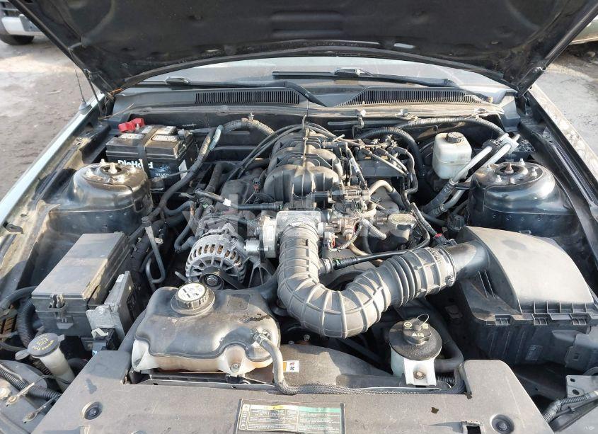 Photo 10 of 2007 Ford Mustang V6 DELUXE/V6 PREMIUM (VIN 1ZVFT80N275281742)