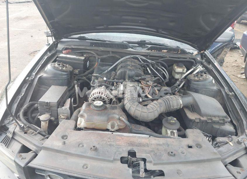 Photo 10 of 2007 Ford Mustang V6 DELUXE/V6 PREMIUM (VIN 1ZVFT80N275321138)