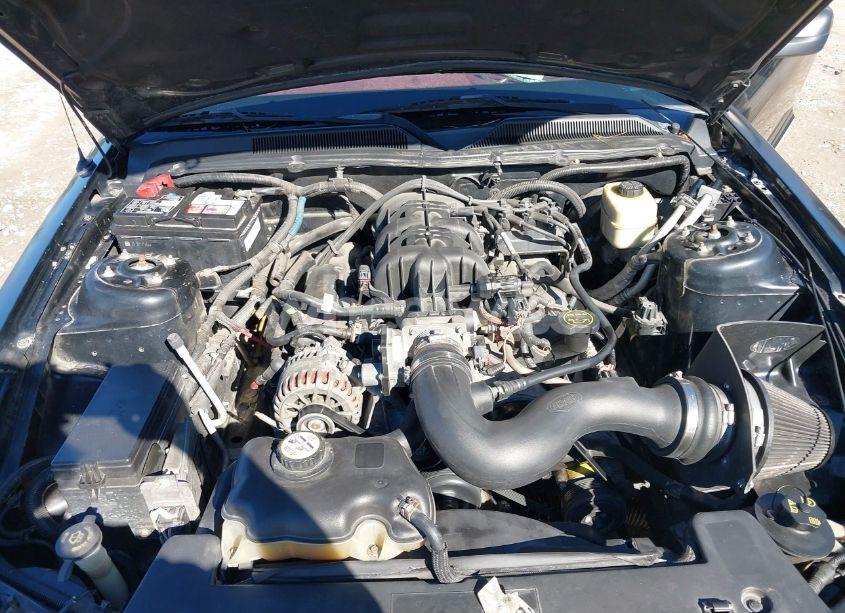 Photo 10 of 2007 Ford Mustang V6 DELUXE/V6 PREMIUM (VIN 1ZVFT80N275341762)