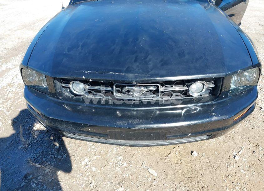 Photo 6 of 2007 Ford Mustang V6 DELUXE/V6 PREMIUM (VIN 1ZVFT80N275341762)