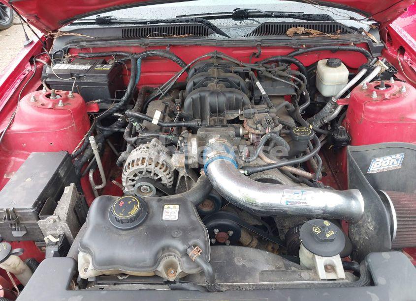 Photo 10 of 2007 Ford Mustang V6 DELUXE/V6 PREMIUM (VIN 1ZVFT80N275349053)