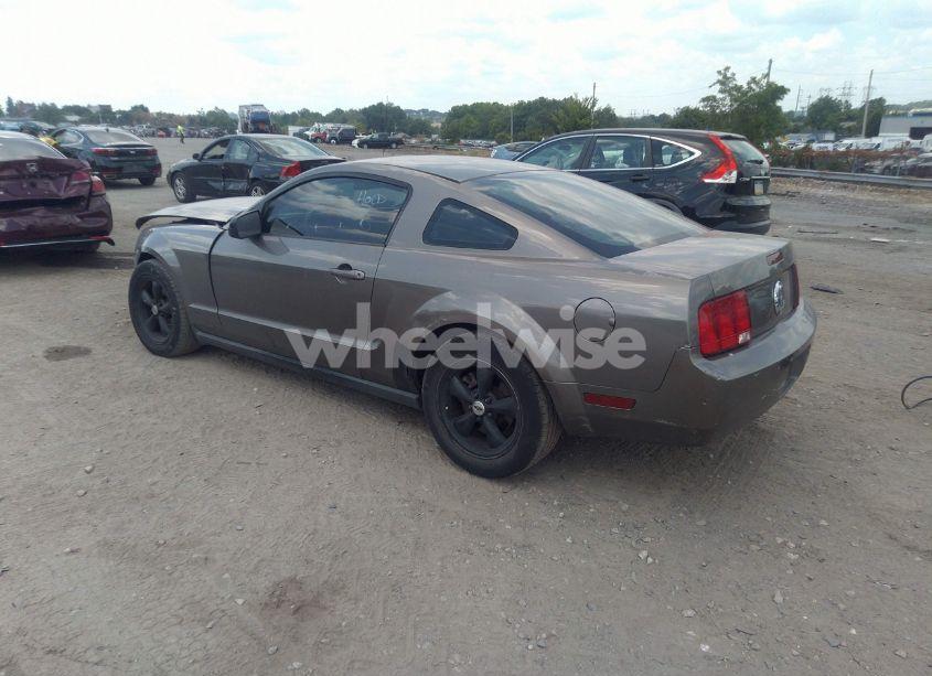 Photo 3 of 2005 Ford Mustang V6 DELUXE/V6 PREMIUM (VIN 1ZVFT80N355116487)