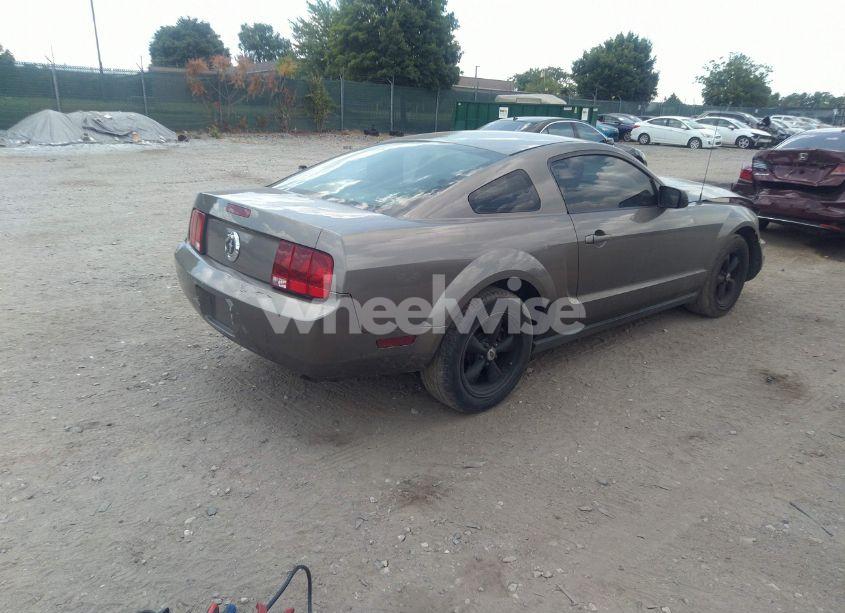 Photo 4 of 2005 Ford Mustang V6 DELUXE/V6 PREMIUM (VIN 1ZVFT80N355116487)