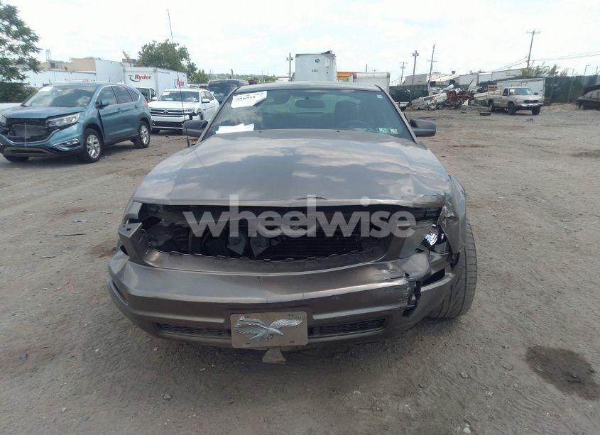 Photo 6 of 2005 Ford Mustang V6 DELUXE/V6 PREMIUM (VIN 1ZVFT80N355116487)