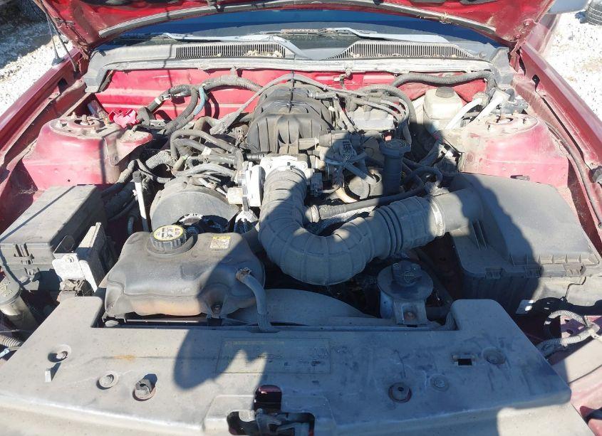 Photo 10 of 2005 Ford Mustang V6 DELUXE/V6 PREMIUM (VIN 1ZVFT80N355131992)