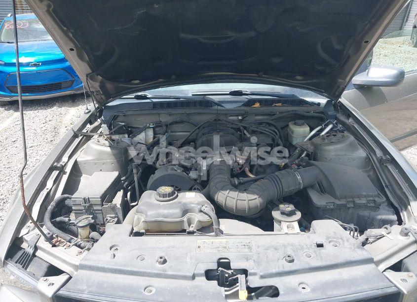 Photo 10 of 2005 Ford Mustang V6 DELUXE/V6 PREMIUM (VIN 1ZVFT80N355160005)