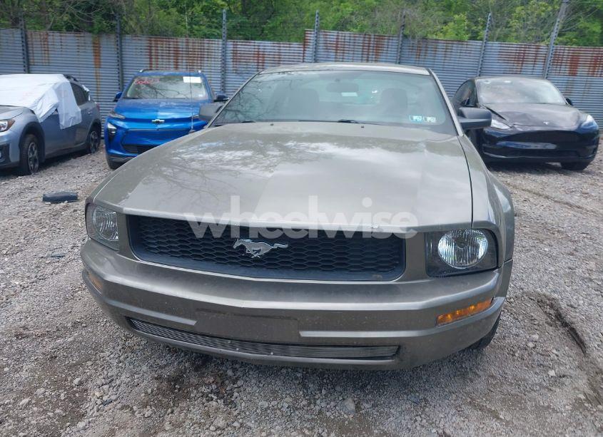Photo 12 of 2005 Ford Mustang V6 DELUXE/V6 PREMIUM (VIN 1ZVFT80N355160005)