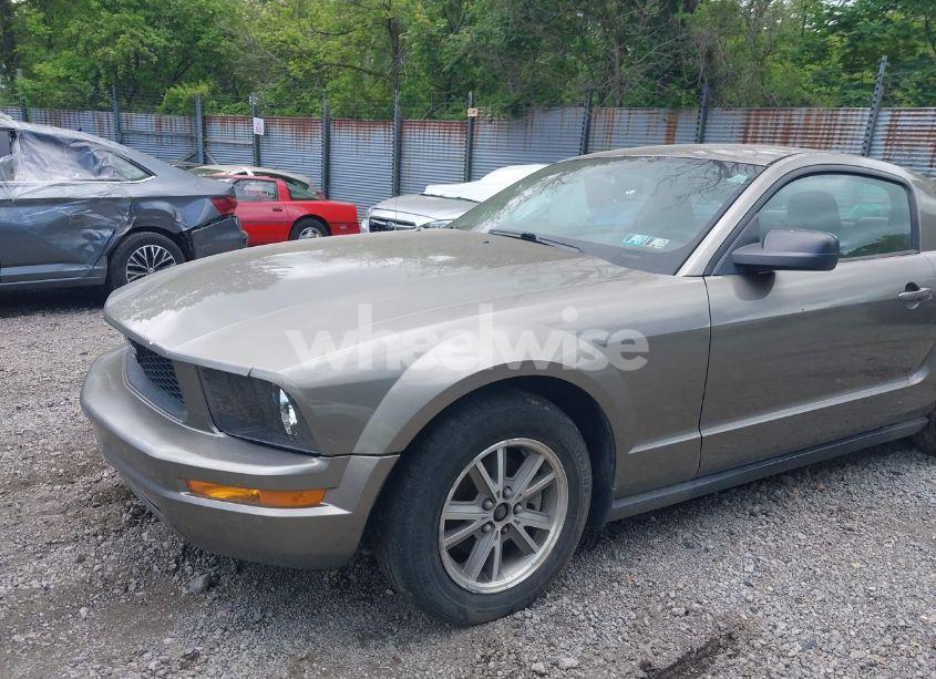 Photo 13 of 2005 Ford Mustang V6 DELUXE/V6 PREMIUM (VIN 1ZVFT80N355160005)