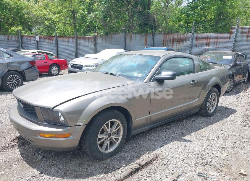 Photo 2 of 2005 Ford Mustang V6 DELUXE/V6 PREMIUM (VIN 1ZVFT80N355160005)