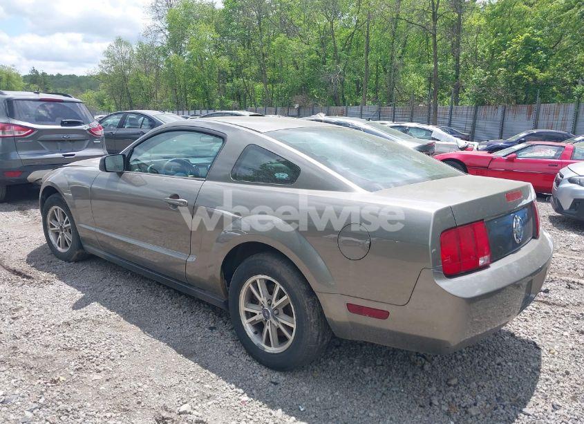 Photo 3 of 2005 Ford Mustang V6 DELUXE/V6 PREMIUM (VIN 1ZVFT80N355160005)