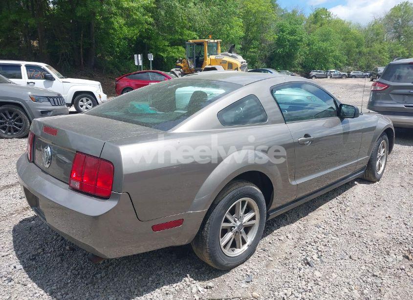 Photo 4 of 2005 Ford Mustang V6 DELUXE/V6 PREMIUM (VIN 1ZVFT80N355160005)