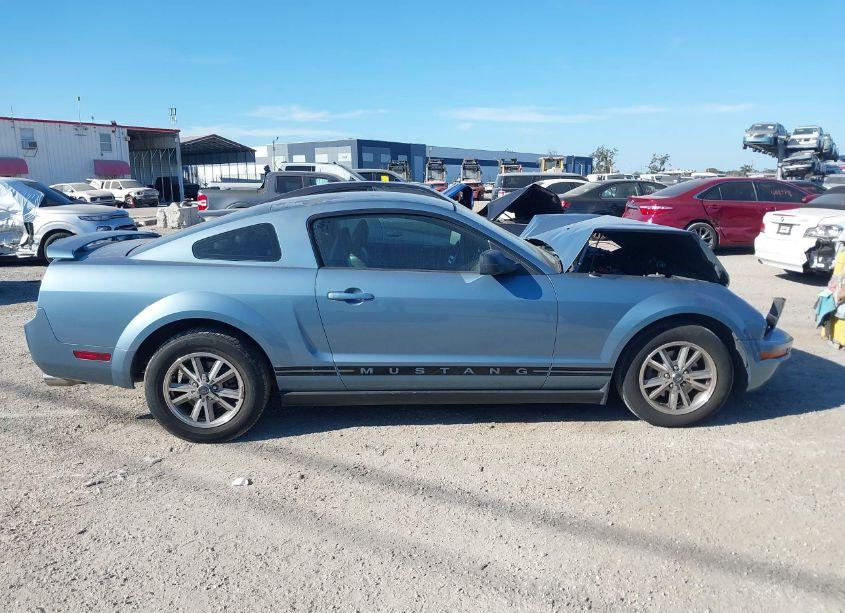 Photo 12 of 2005 Ford Mustang V6 DELUXE/V6 PREMIUM (VIN 1ZVFT80N355166919)