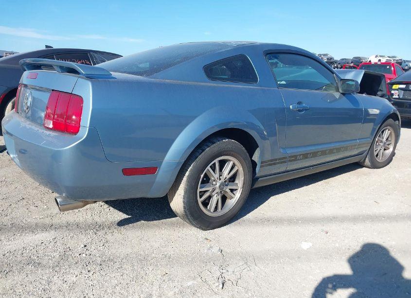 Photo 4 of 2005 Ford Mustang V6 DELUXE/V6 PREMIUM (VIN 1ZVFT80N355166919)