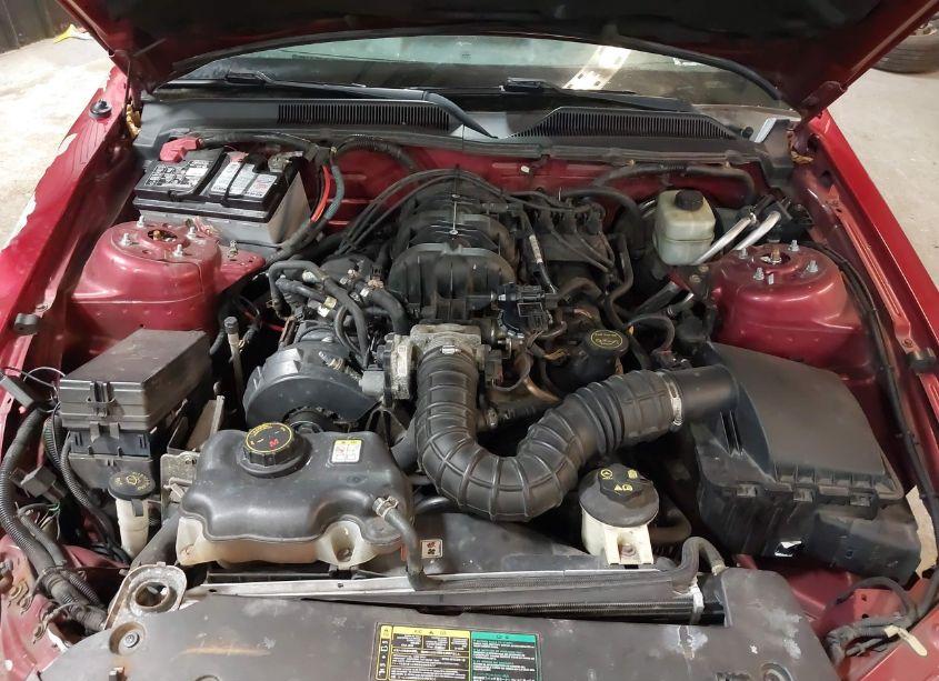 Photo 10 of 2005 Ford Mustang V6 DELUXE/V6 PREMIUM (VIN 1ZVFT80N355223913)