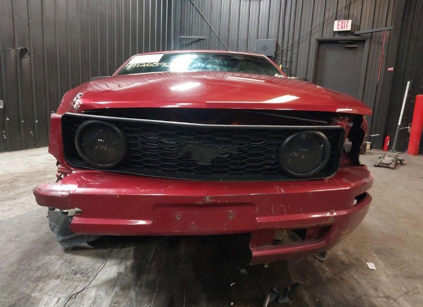 Photo 13 of 2005 Ford Mustang V6 DELUXE/V6 PREMIUM (VIN 1ZVFT80N355223913)