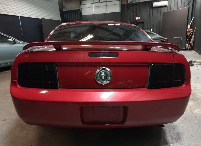 Photo 17 of 2005 Ford Mustang V6 DELUXE/V6 PREMIUM (VIN 1ZVFT80N355223913)