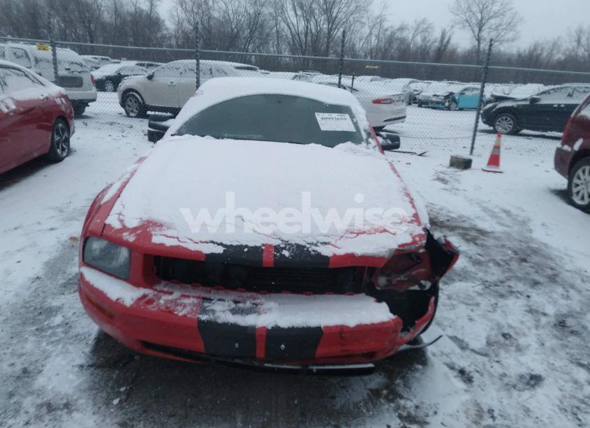 Photo 13 of 2005 Ford Mustang V6 DELUXE/V6 PREMIUM (VIN 1ZVFT80N355225631)