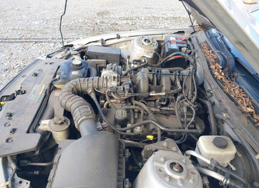 Photo 10 of 2005 Ford Mustang V6 DELUXE/V6 PREMIUM (VIN 1ZVFT80N355238394)