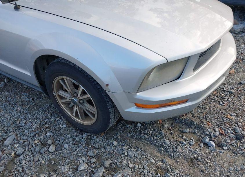 Photo 12 of 2005 Ford Mustang V6 DELUXE/V6 PREMIUM (VIN 1ZVFT80N355238394)