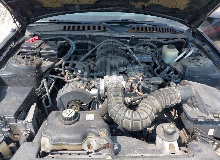 Photo 10 of 2005 Ford Mustang V6 DELUXE/V6 PREMIUM (VIN 1ZVFT80N355240212)