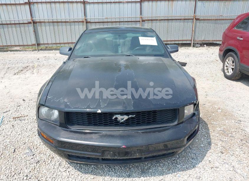 Photo 12 of 2005 Ford Mustang V6 DELUXE/V6 PREMIUM (VIN 1ZVFT80N355240212)