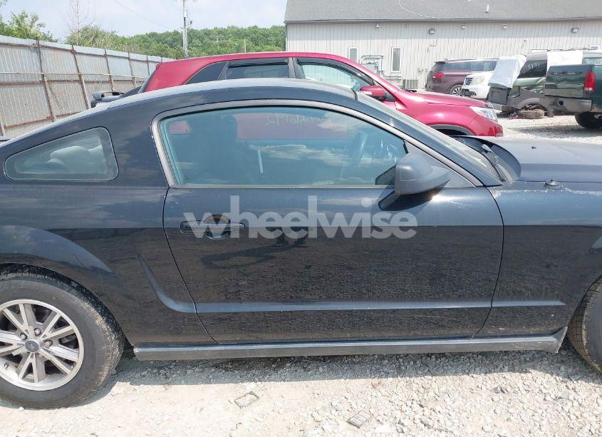 Photo 13 of 2005 Ford Mustang V6 DELUXE/V6 PREMIUM (VIN 1ZVFT80N355240212)