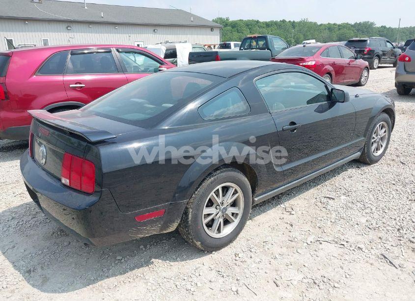 Photo 4 of 2005 Ford Mustang V6 DELUXE/V6 PREMIUM (VIN 1ZVFT80N355240212)
