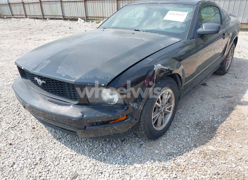 Photo 6 of 2005 Ford Mustang V6 DELUXE/V6 PREMIUM (VIN 1ZVFT80N355240212)