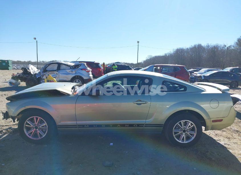 Photo 14 of 2005 Ford Mustang V6 DELUXE/V6 PREMIUM (VIN 1ZVFT80N355242672)