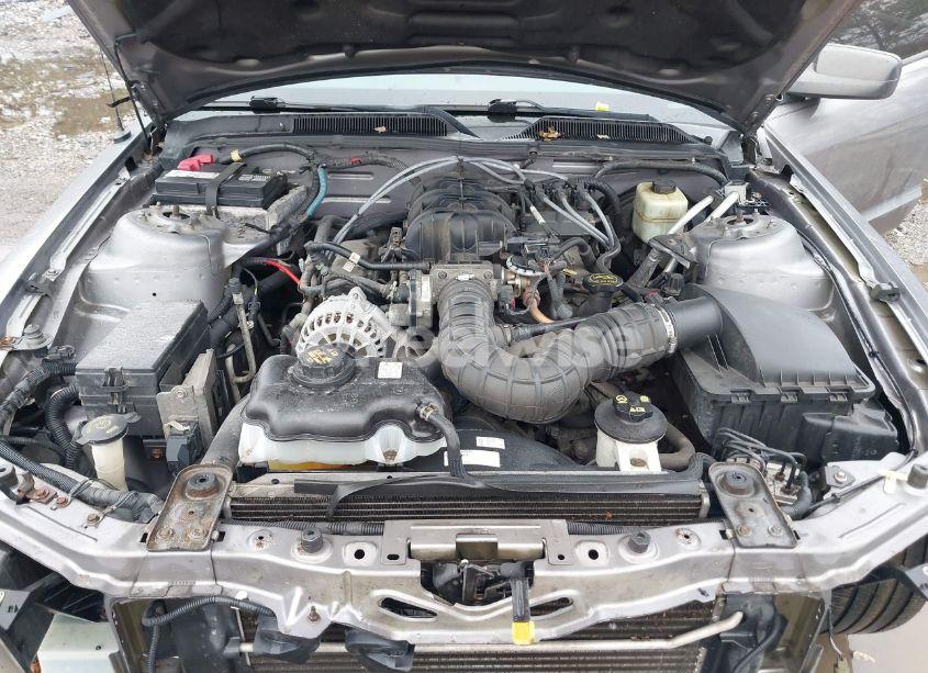 Photo 10 of 2006 Ford Mustang V6 (VIN 1ZVFT80N365109816)