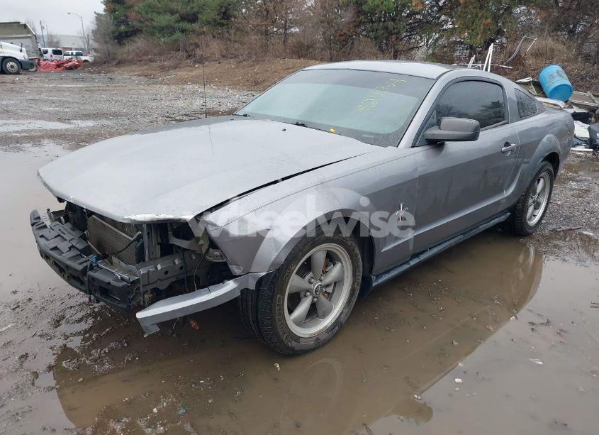 Photo 2 of 2006 Ford Mustang V6 (VIN 1ZVFT80N365109816)
