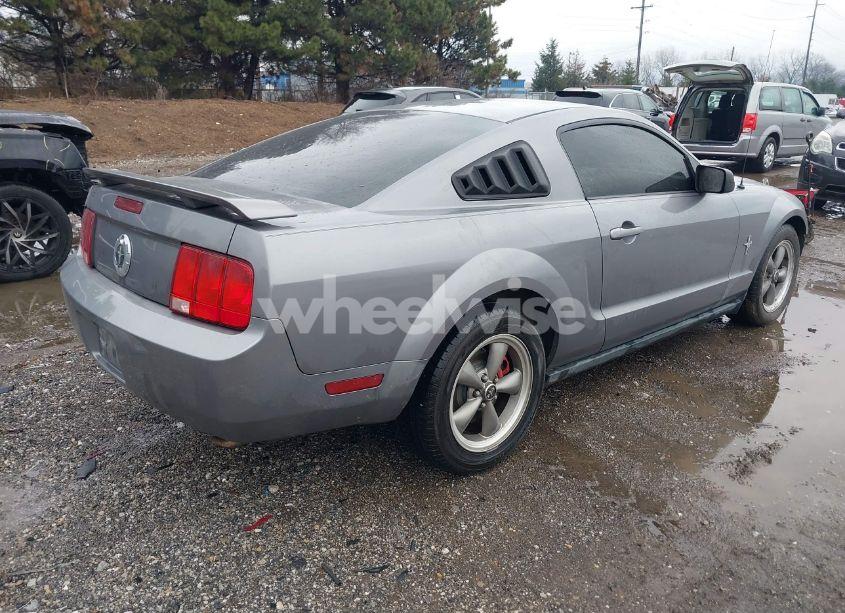 Photo 4 of 2006 Ford Mustang V6 (VIN 1ZVFT80N365109816)