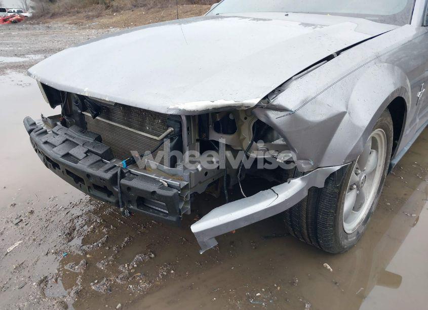 Photo 6 of 2006 Ford Mustang V6 (VIN 1ZVFT80N365109816)