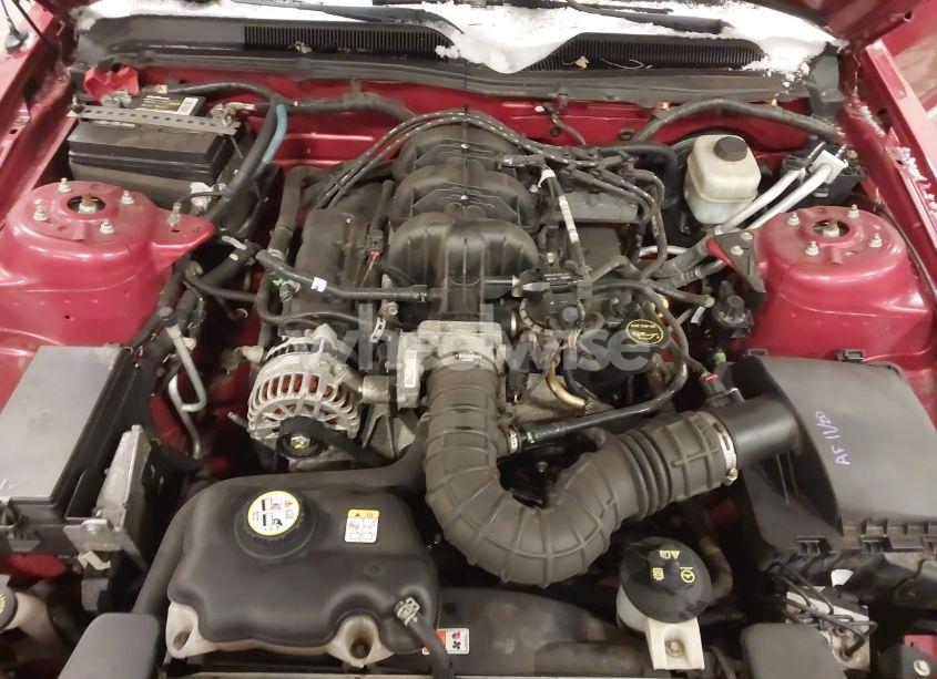 Photo 10 of 2006 Ford Mustang V6 (VIN 1ZVFT80N365117947)