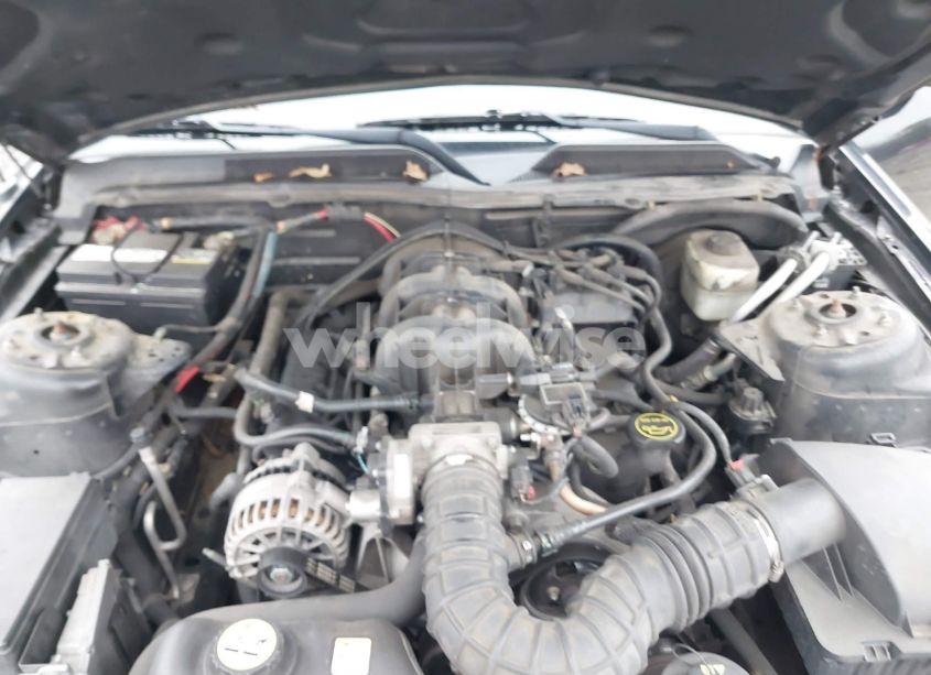 Photo 10 of 2006 Ford Mustang V6 (VIN 1ZVFT80N365207776)