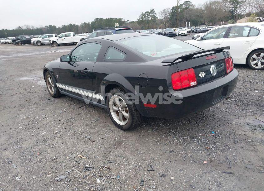 Photo 3 of 2006 Ford Mustang V6 (VIN 1ZVFT80N365207776)