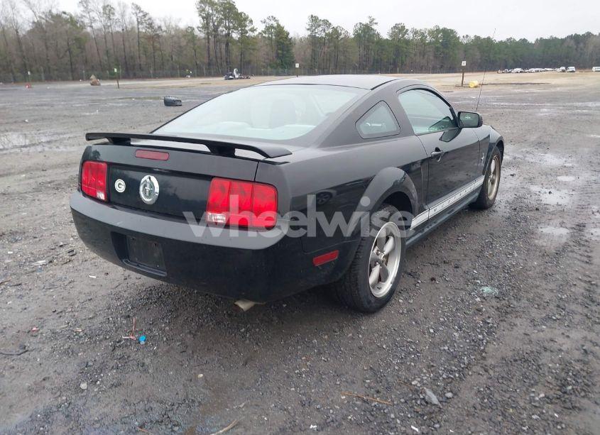 Photo 4 of 2006 Ford Mustang V6 (VIN 1ZVFT80N365207776)