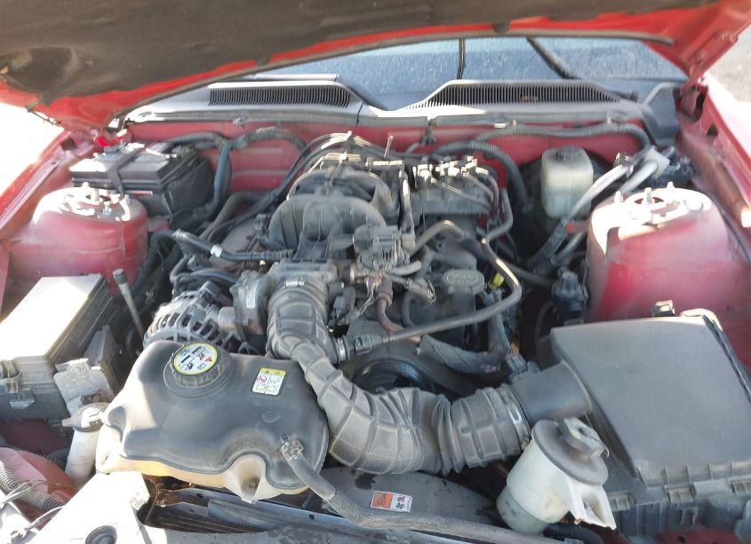 Photo 10 of 2007 Ford Mustang V6 DELUXE/V6 PREMIUM (VIN 1ZVFT80N375282964)