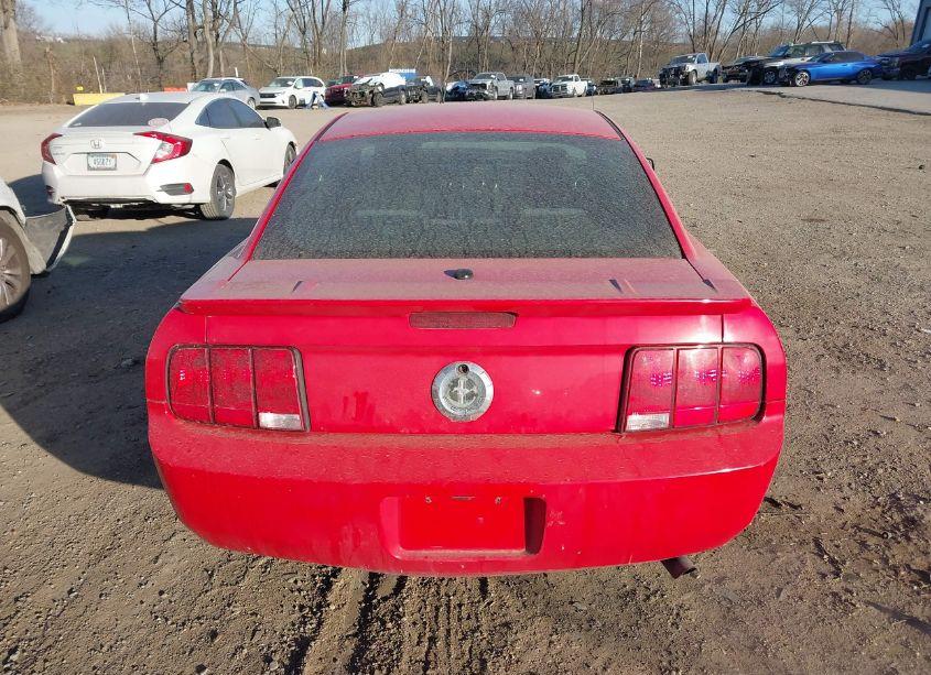 Photo 16 of 2007 Ford Mustang V6 DELUXE/V6 PREMIUM (VIN 1ZVFT80N375282964)
