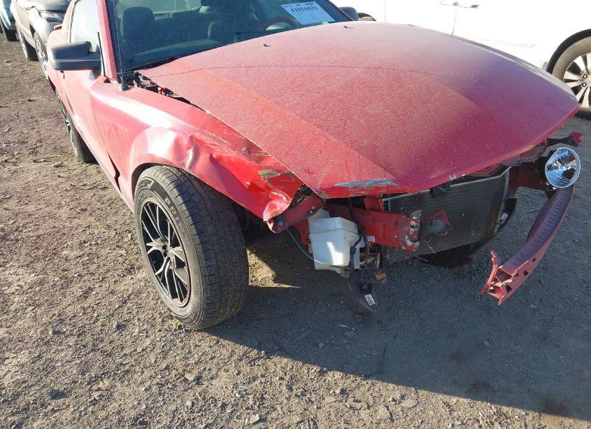 Photo 6 of 2007 Ford Mustang V6 DELUXE/V6 PREMIUM (VIN 1ZVFT80N375282964)