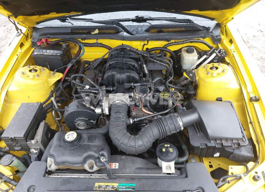 Photo 10 of 2005 Ford Mustang V6 DELUXE/V6 PREMIUM (VIN 1ZVFT80N455118720)