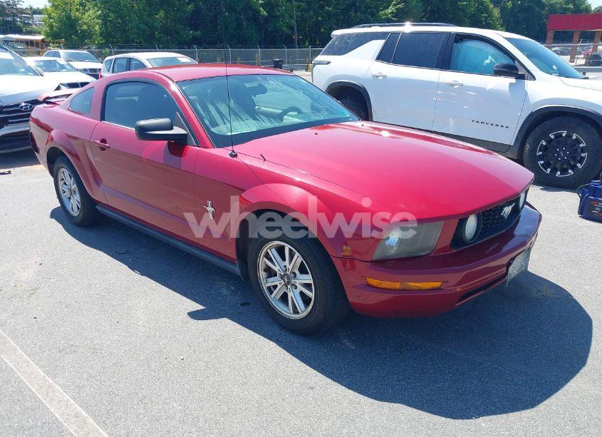 2005 Ford Mustang V6 DELUXE/V6 PREMIUM (VIN 1ZVFT80N455125487) main photo