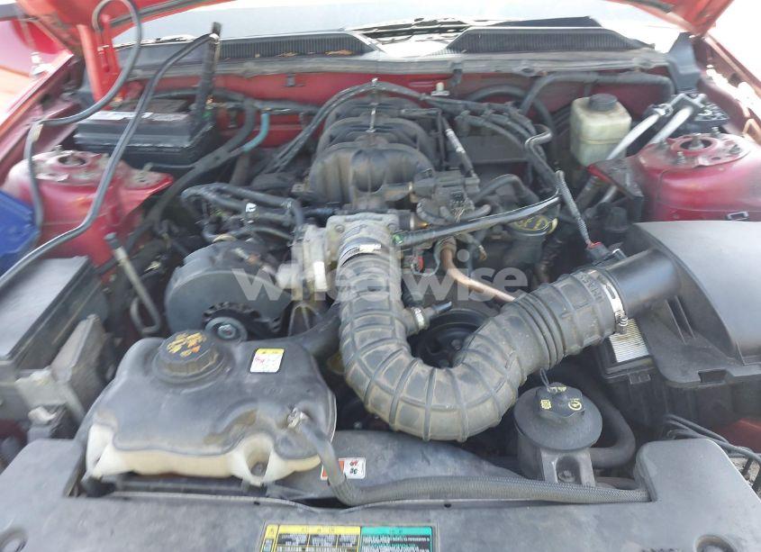 Photo 10 of 2005 Ford Mustang V6 DELUXE/V6 PREMIUM (VIN 1ZVFT80N455125487)