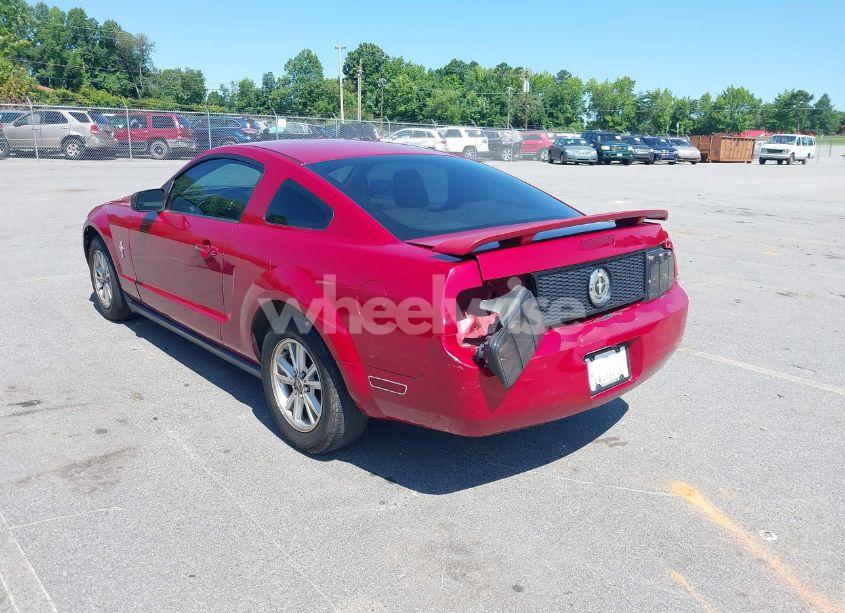 Photo 3 of 2005 Ford Mustang V6 DELUXE/V6 PREMIUM (VIN 1ZVFT80N455125487)