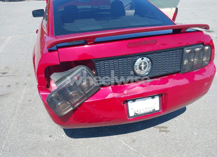 Photo 6 of 2005 Ford Mustang V6 DELUXE/V6 PREMIUM (VIN 1ZVFT80N455125487)